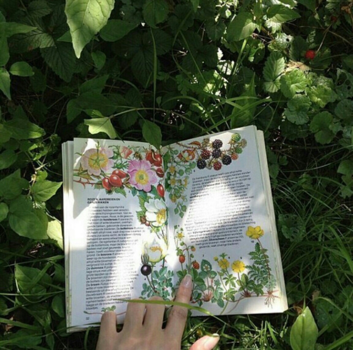 지극히 평화롭고 사랑스러운 | 인스티즈