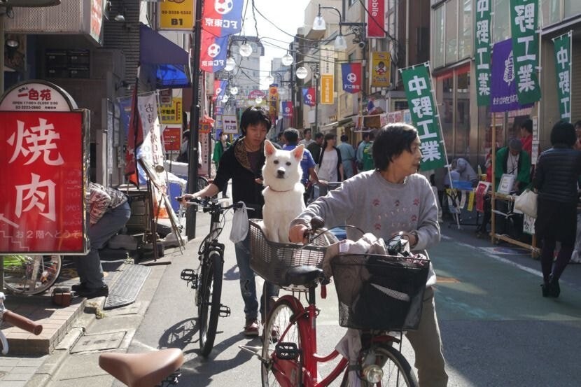 잘..지내는구나.. | 인스티즈