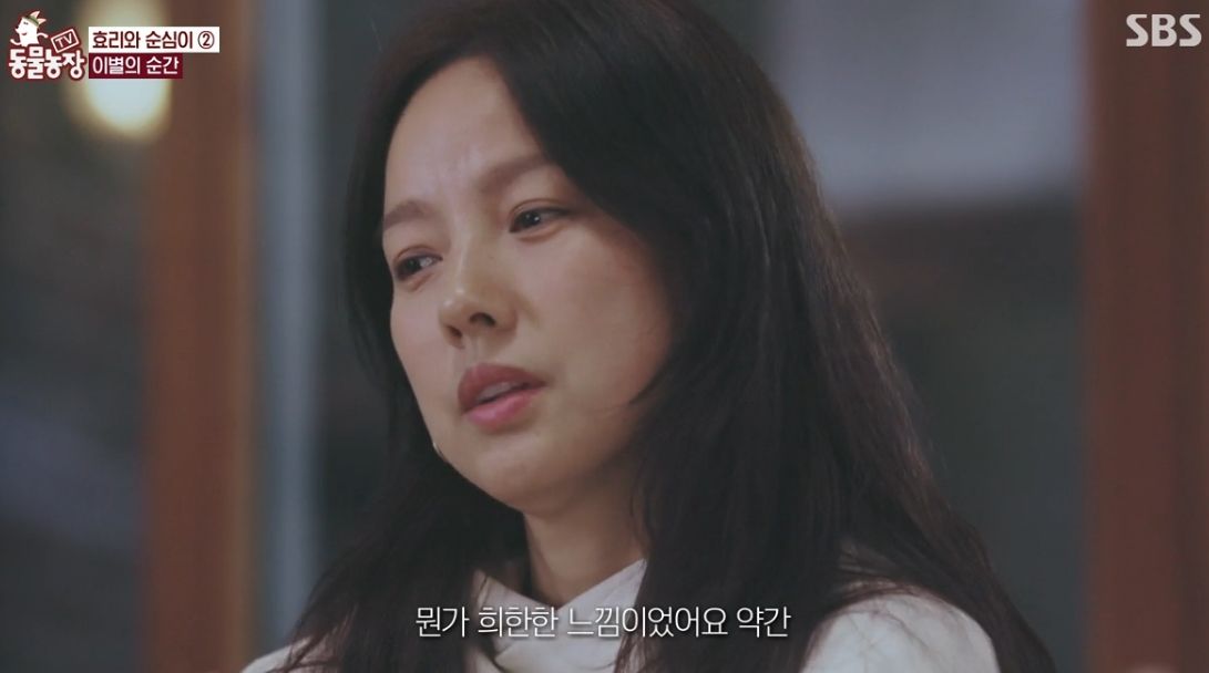 이효리 반려견 순심이가 죽기 전 다른 동물들이 보인 반응 | 인스티즈