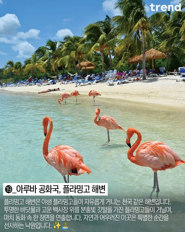 지구에서 가장 초현실적인 해변 리스트.jpg | 인스티즈