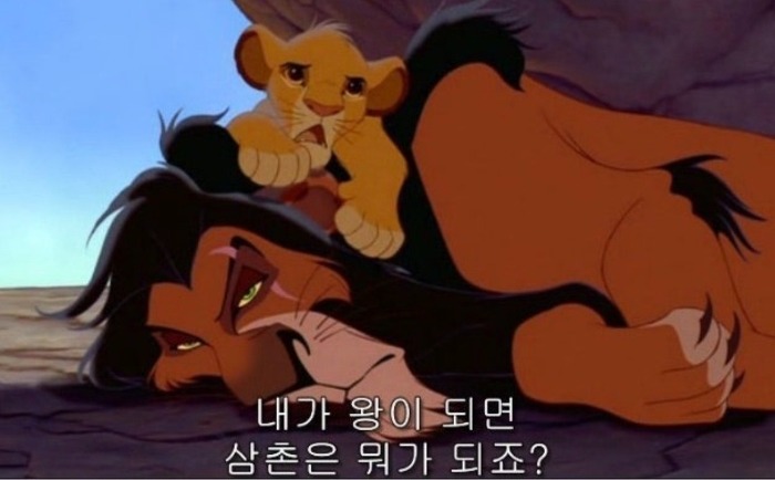 알면 더 재밌는 사자 집단의 생태계 | 인스티즈