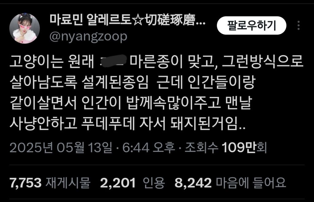 고양이는 원래 마른 종이 맞는데 인간들이랑 같이 살면서 | 인스티즈