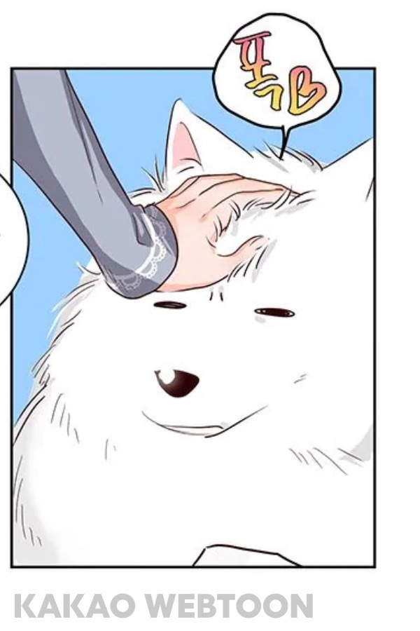 은발 로판 남주.jpg | 인스티즈