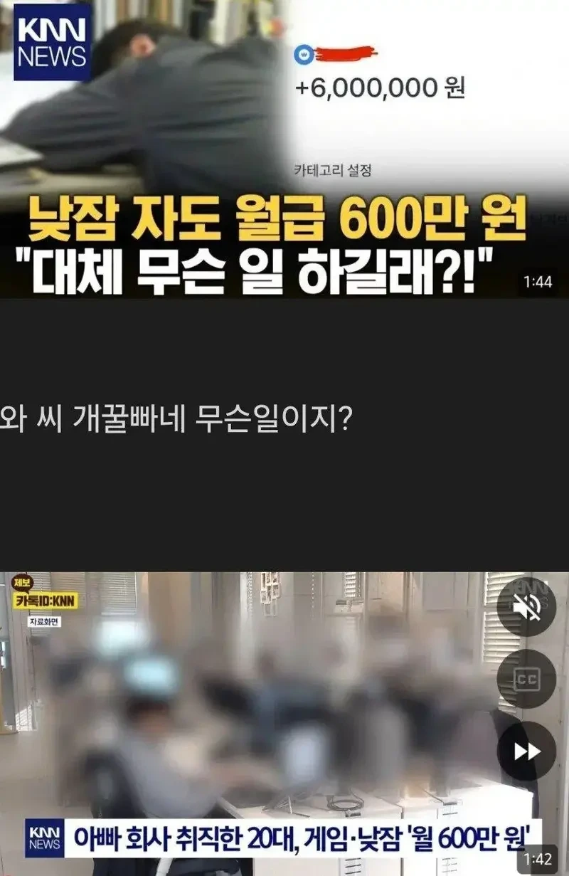 낮잠 자도 월급 600만 원 받는 직업 | 인스티즈
