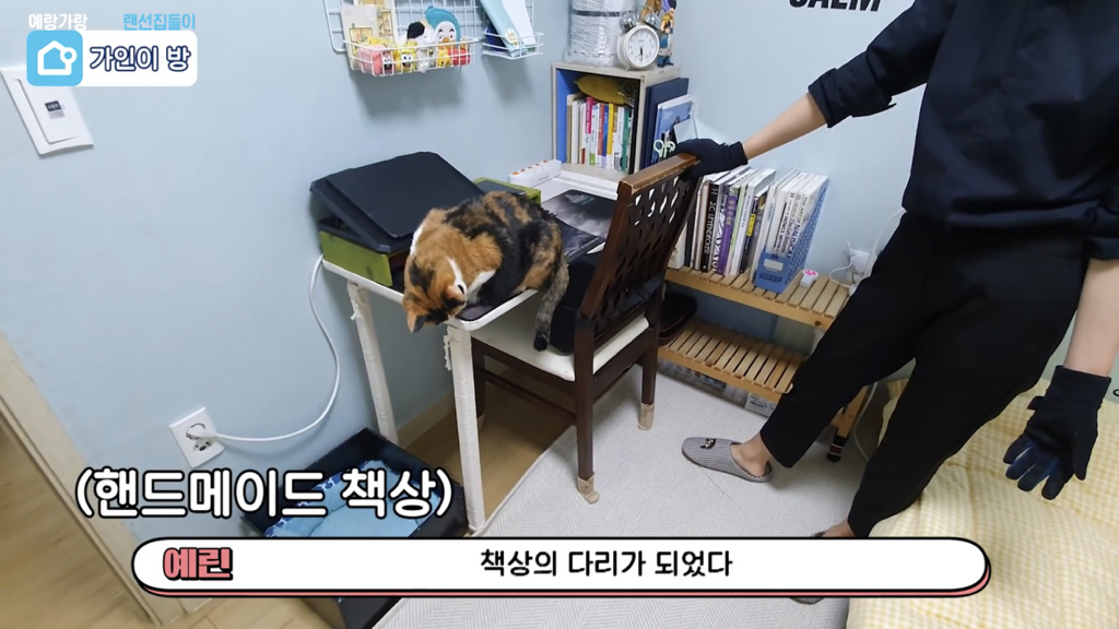 물욕 없는 가인학생이 사는법 | 인스티즈