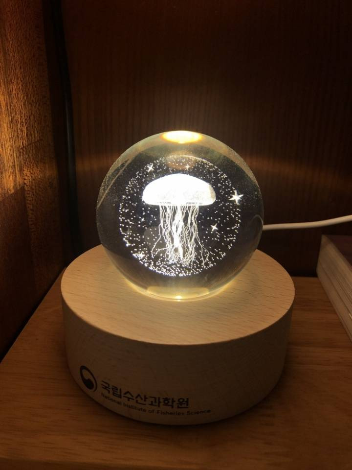 신혼여행 가서 해파리 쏘인 사람이 국립수산과학원한테 받은 것 | 인스티즈