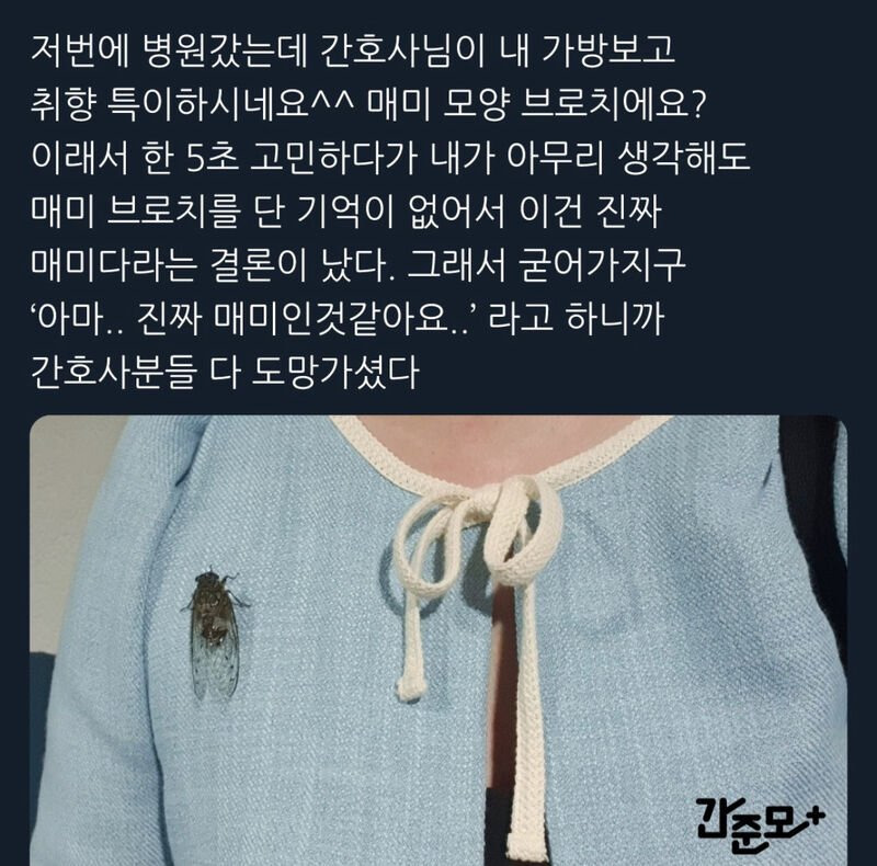 환자의 힙한 브로치가 맘에 들었던 간호사 | 인스티즈