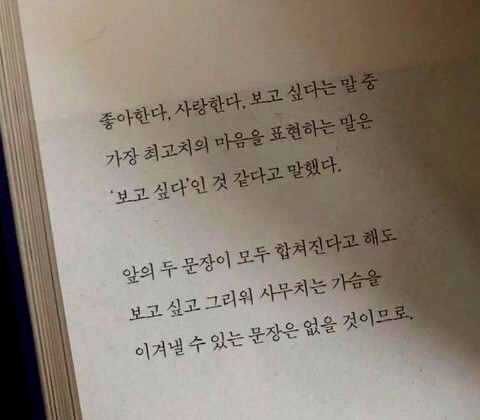 내가도망친다해도사랑해줄래? | 인스티즈