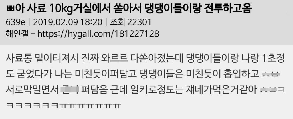 사료 10kg 거실에서 쏟아서 댕댕이들이랑 전투하고 옴 | 인스티즈