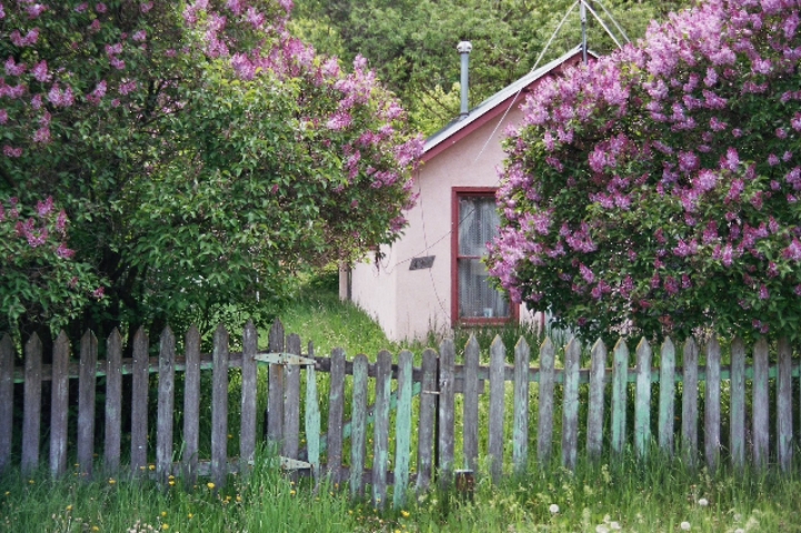 지극히 평화롭고 사랑스러운 | 인스티즈