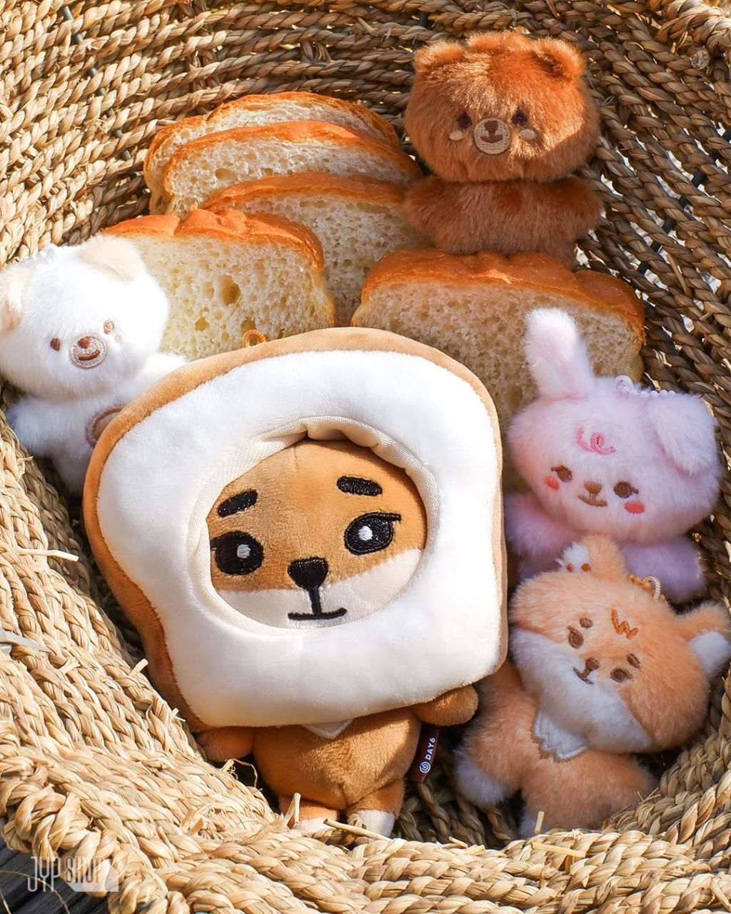 데이식스 DAY6 월드투어 공식 MERCH 모음 | 인스티즈