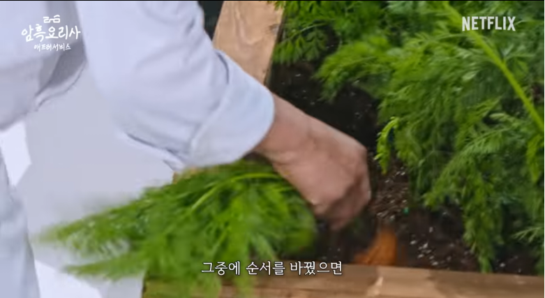 흑백요리사 하면서 트라우마 잔뜩 쌓인 윤주모 | 인스티즈