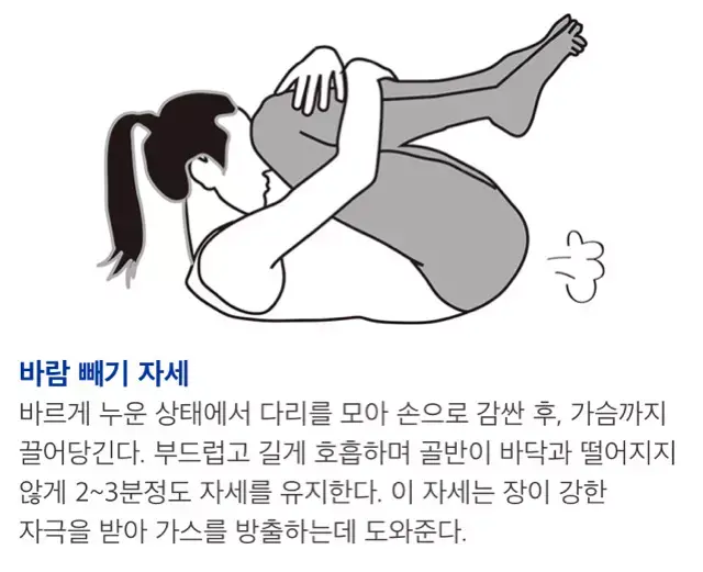 가스 찼을때 방귀 잘나오는 자세 | 인스티즈