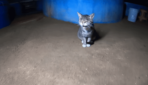 [hahaha] 양어장 일짱 하연님 | 인스티즈