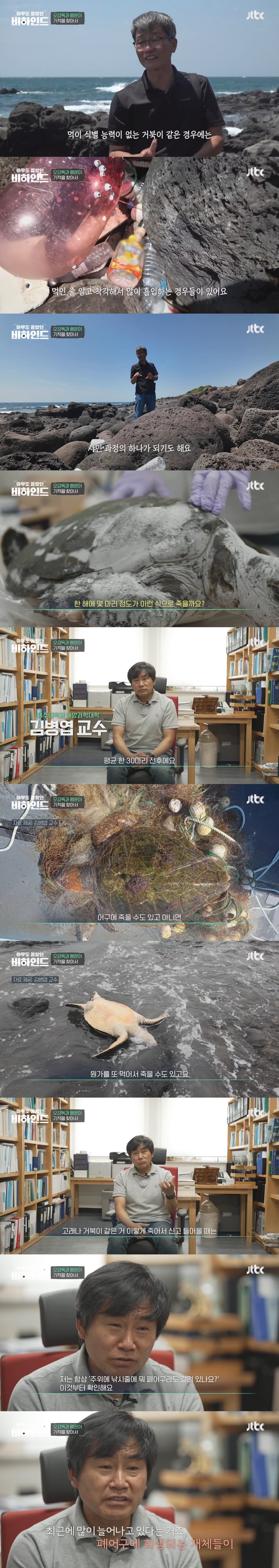 인간이 버린 쓰레기에 걸려 고통 받는 돌고래들을 따라다니는 돌고래 아빠 | 인스티즈