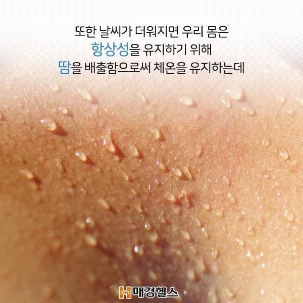 비만은 추위를 덜 탈까? | 인스티즈