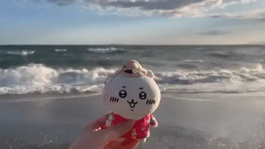 바닷가에서 인형 사진을 찍으면 안되는 이유 | 인스티즈