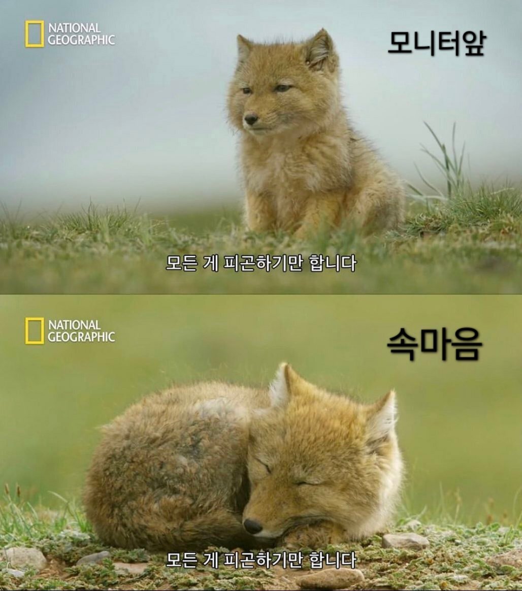 회사 모니터앞 직장인 모습 | 인스티즈