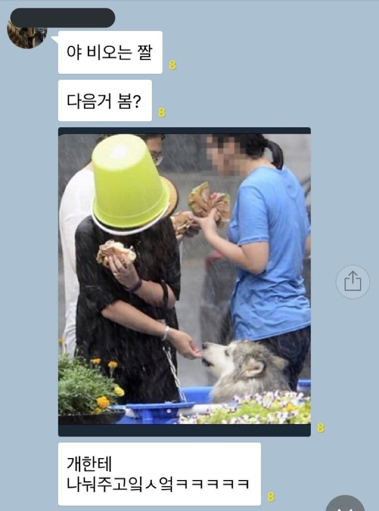 비가 와도 포기할 수 없는 햄버거 | 인스티즈
