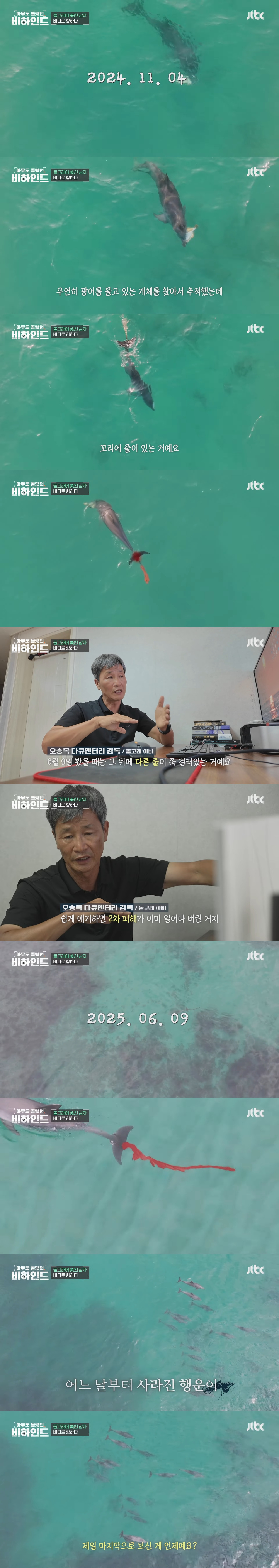 인간이 버린 쓰레기에 걸려 고통 받는 돌고래들을 따라다니는 돌고래 아빠 | 인스티즈