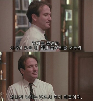 산산조각이 나면 산산조각을 얻을 수 있지 | 인스티즈