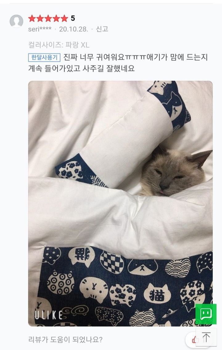 짱 귀여운 고양이 이불구매 후기 | 인스티즈