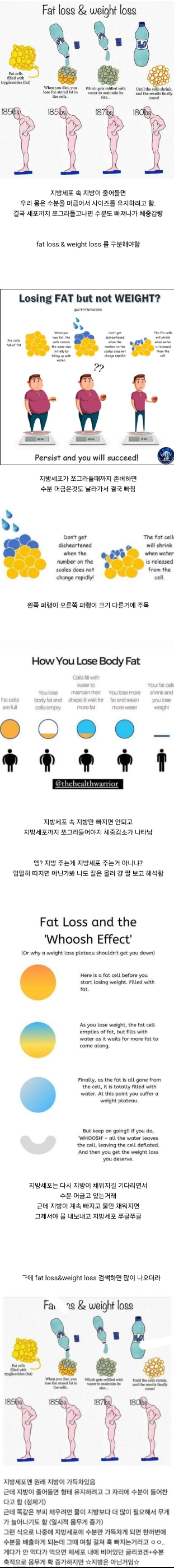 다이어트하는데 무게가 오히려 느는 이유 | 인스티즈