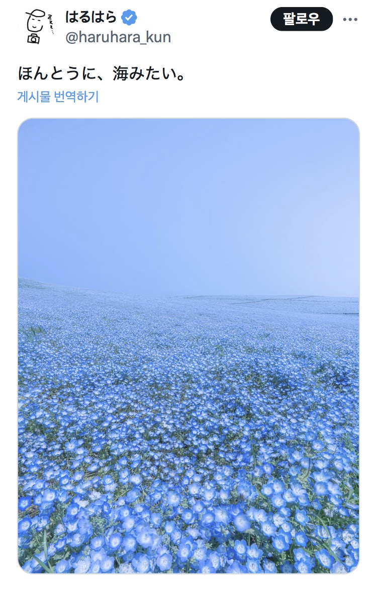 바다 같은 일본의 어느 들판 사진 | 인스티즈