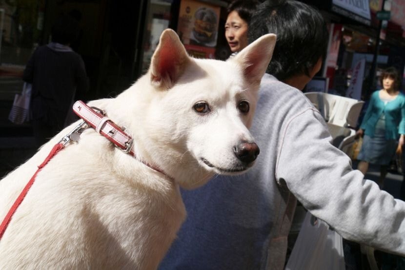 잘..지내는구나.. | 인스티즈
