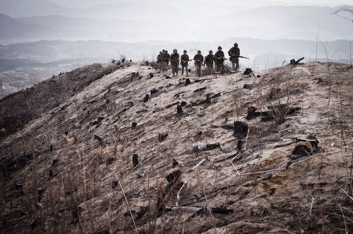 막 걸음마를 시작한 민주주의 국가를 위해 싸우러 간 것은 가치있는 일이었습니까? | 인스티즈