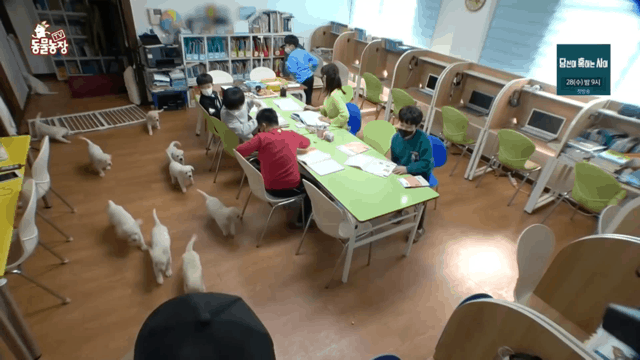 아이들이 공부하던 공부방 습격당하는 장면...gif | 인스티즈