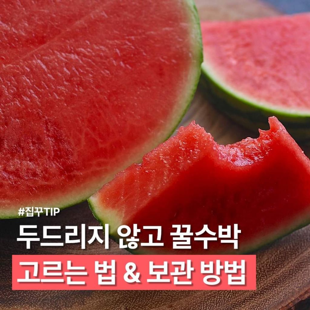 꿀수박 고르는 법 & 보관법 | 인스티즈