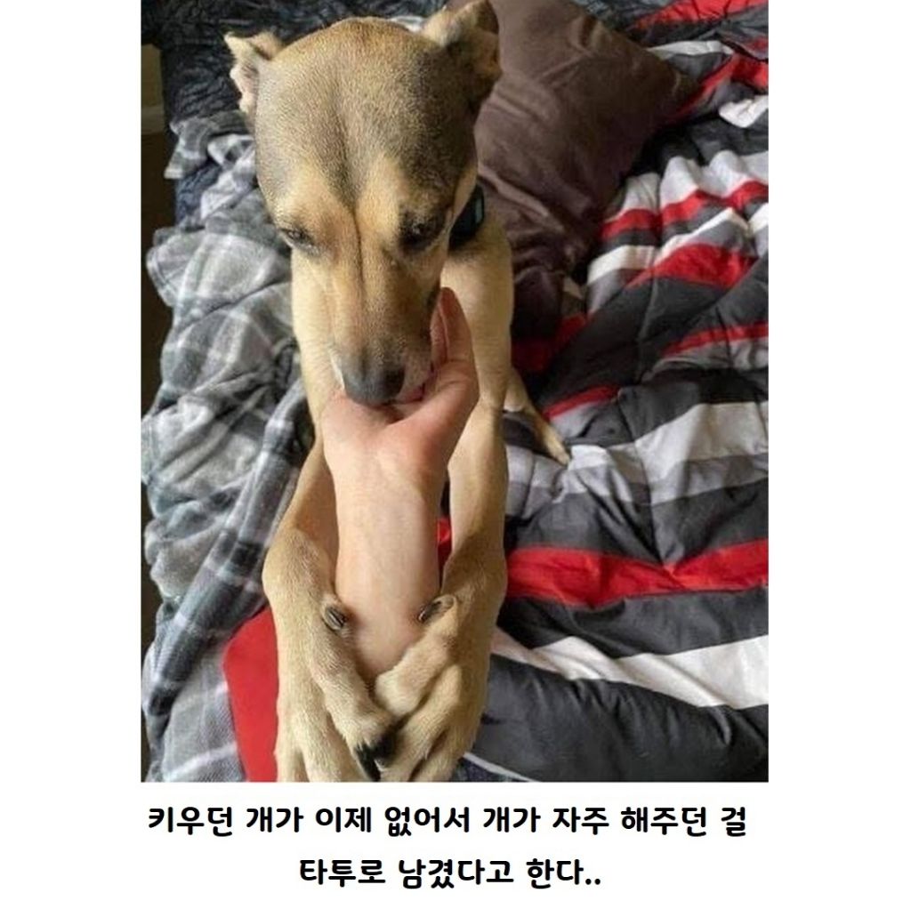 댕댕이가 그리운 어느 남자의 특이한 타투 | 인스티즈