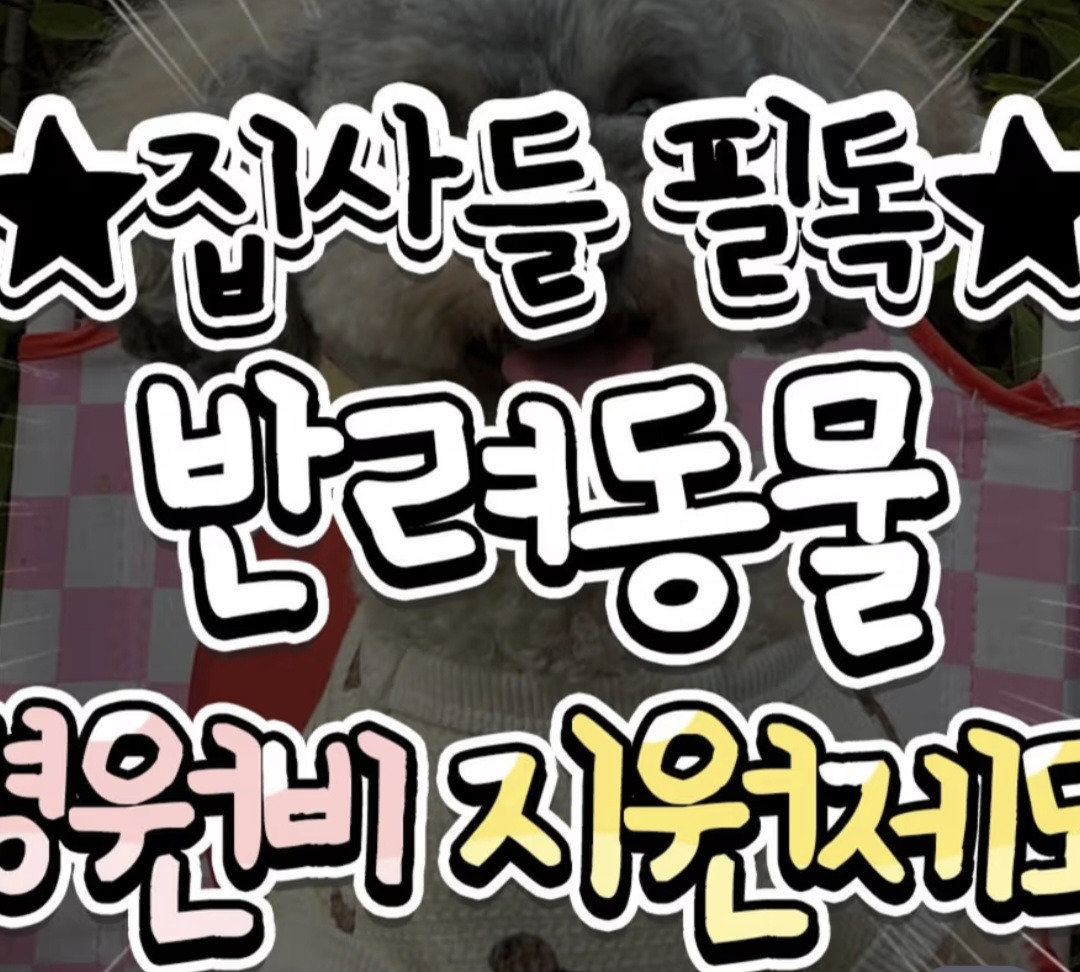 반려동물 의료비 지원 | 인스티즈