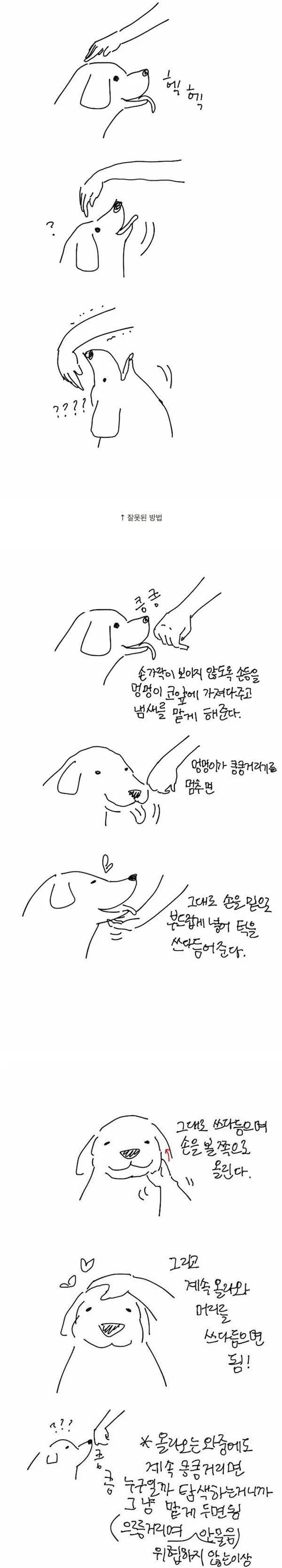 처음 보는 멍멍이를 만질때 꿀팁 | 인스티즈