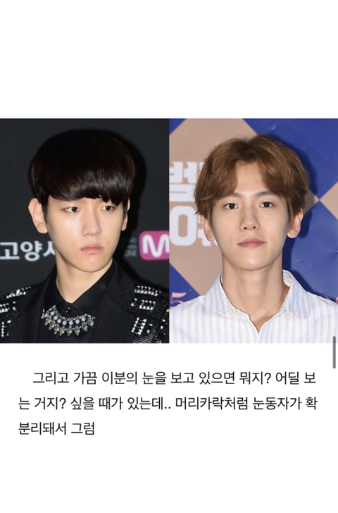 엑소 백현 퍼스널 컬러 분석 | 인스티즈