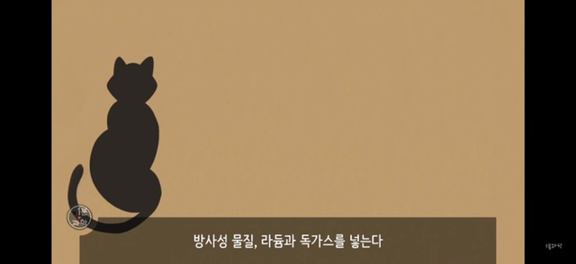 아 존나 재밌는데 한번만 봐봐 우리가 운 좋게 살아있는 과학적 이유 (개소름주의) | 인스티즈