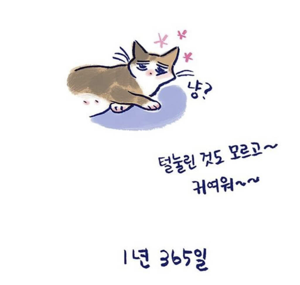 반려 동물을 기르는 사람들이 매일 느끼는 감정 | 인스티즈