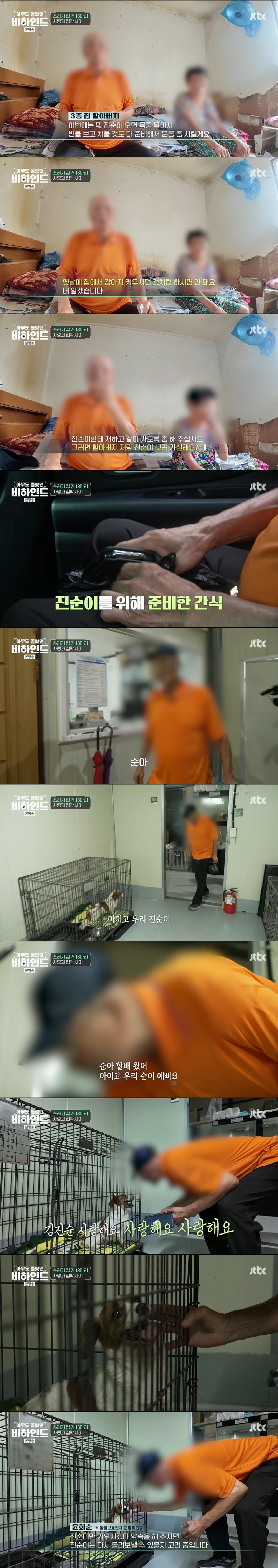 할머니와 할아버지와 함께 쓰레기집에서 살던 18마리의 강아지들 | 인스티즈