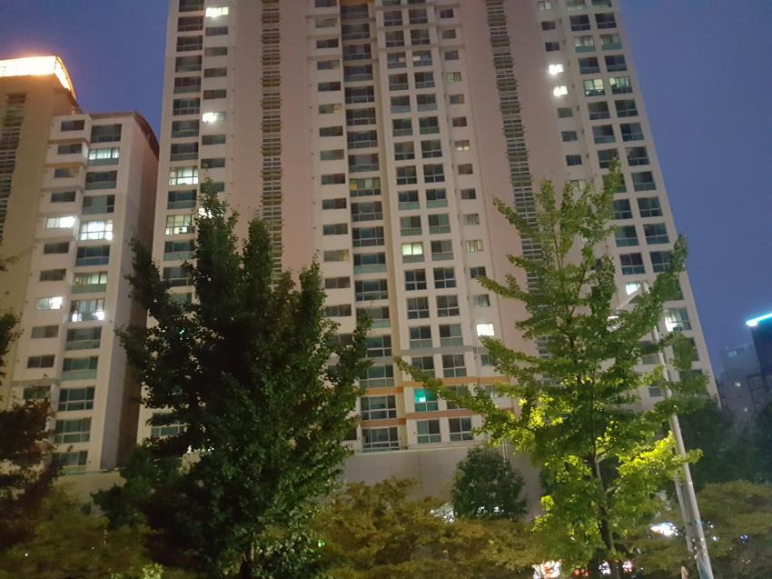 샤이니 경광봉 혼자일때 vs 단체로 있을때 존재감차이 | 인스티즈