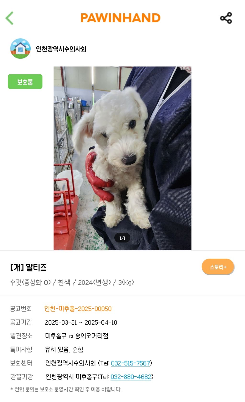 준바오들아 안락사 이틀 남은 아기 강아지 퍼가주라 | 인스티즈