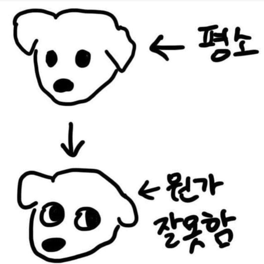 늑대에게는 없지만 개에게는 있는 근육 | 인스티즈