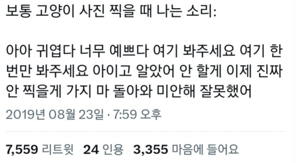 고양이 사진 찍을 때 나는 소리 | 인스티즈