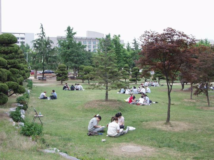 56c75c14b85264b60d5b4dee5e4dd9a50f699cbd