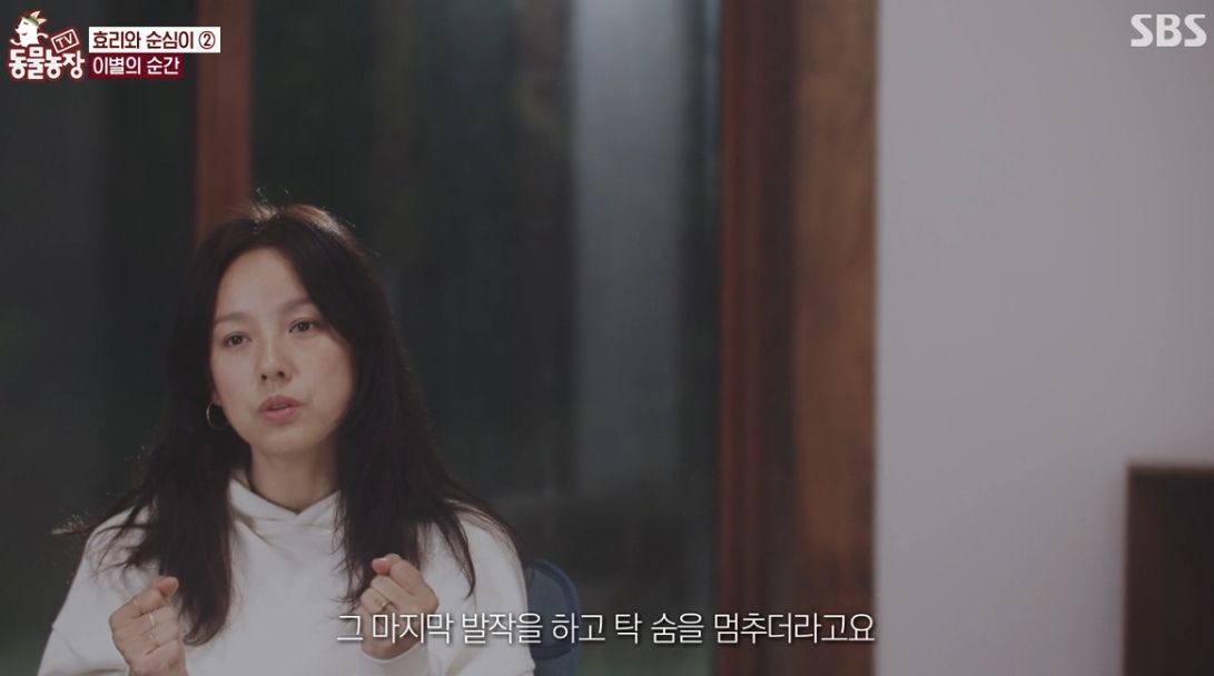 이효리 반려견 순심이가 죽기 전 다른 동물들이 보인 반응 | 인스티즈