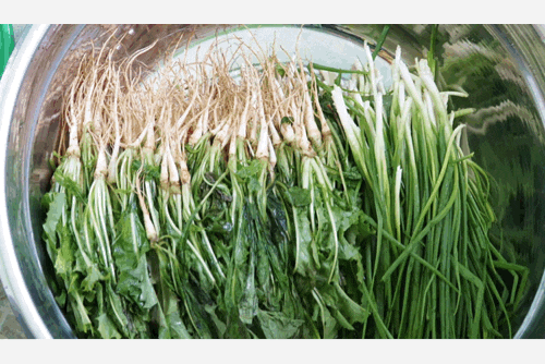 고들빼기김치 jpg | 인스티즈