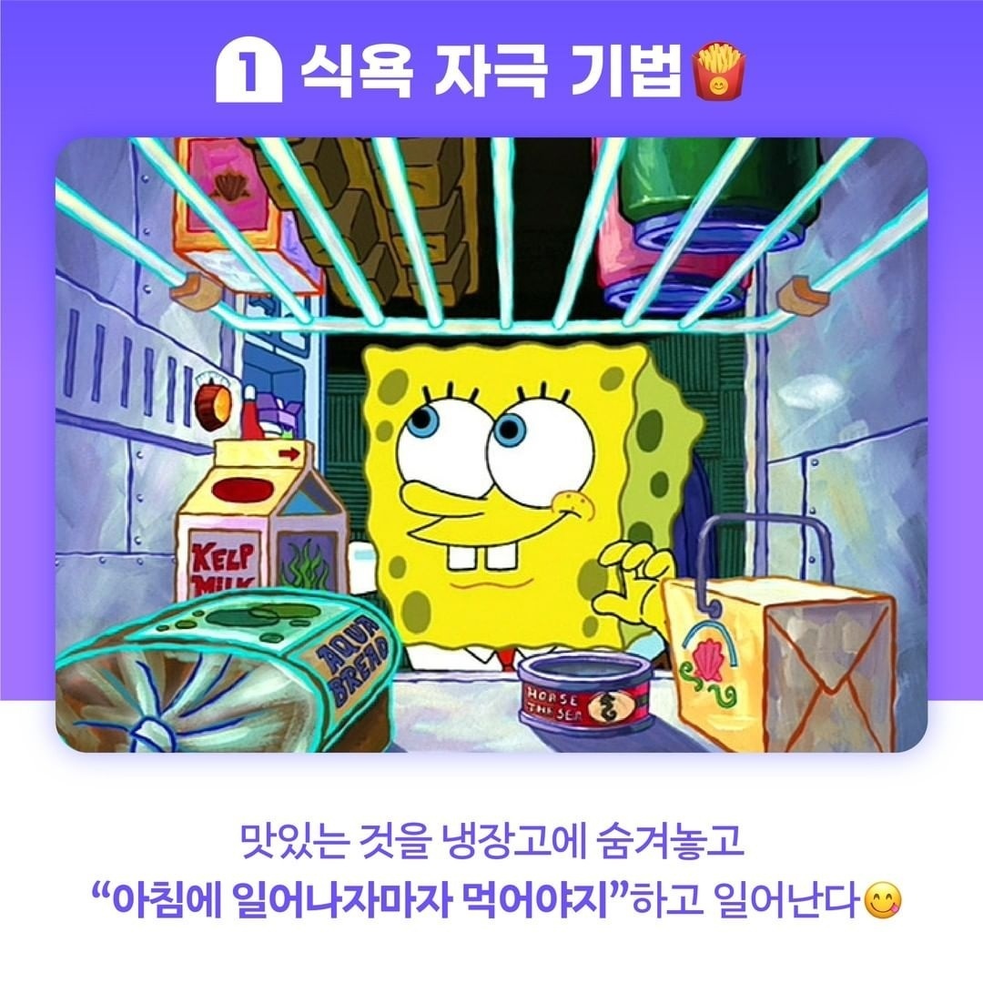 아침에 무조건 일어나는 방법 5가지 | 인스티즈