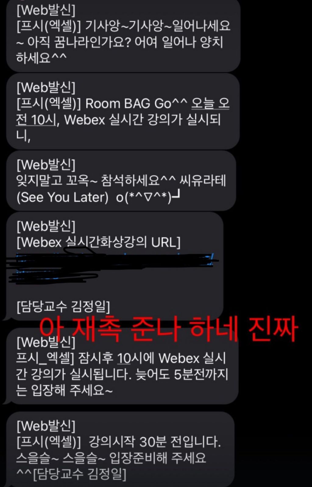 버블 구독 느낌나는 교수님 문자 | 인스티즈