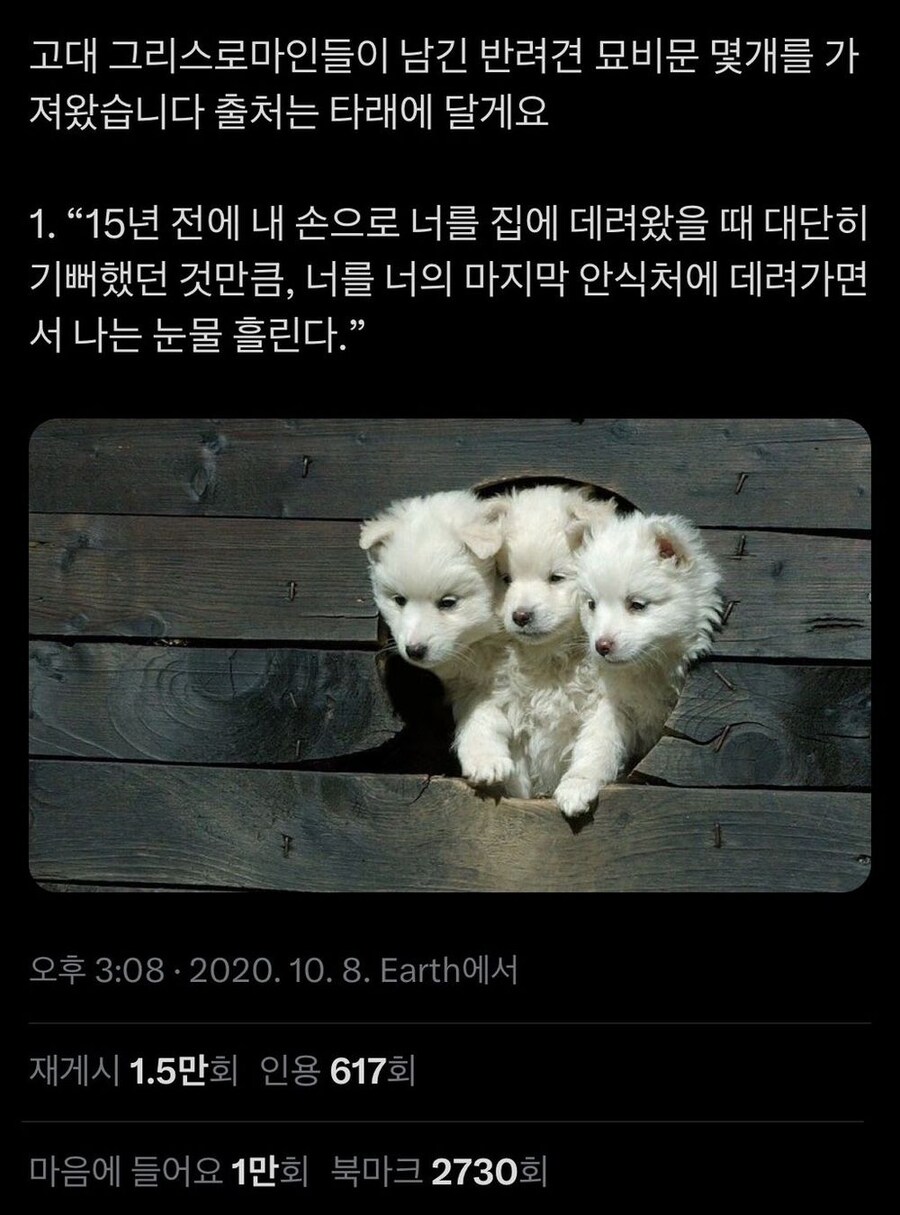 고대 그리스로마인들이 남긴 반려견 묘비문 | 인스티즈