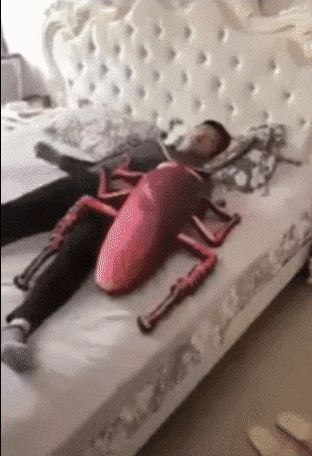 이런 장난친 사람이랑 손절 한다vs안 한다 | 인스티즈